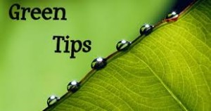 Tips to Go Green