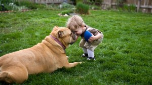gty_toddler_and_dog_jt_120708_wg
